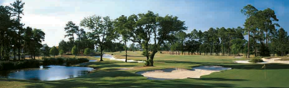 The Bridges GC