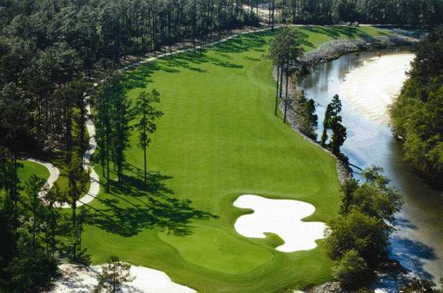 Grand Bear GC