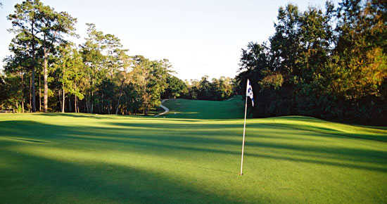 Gulf Hills